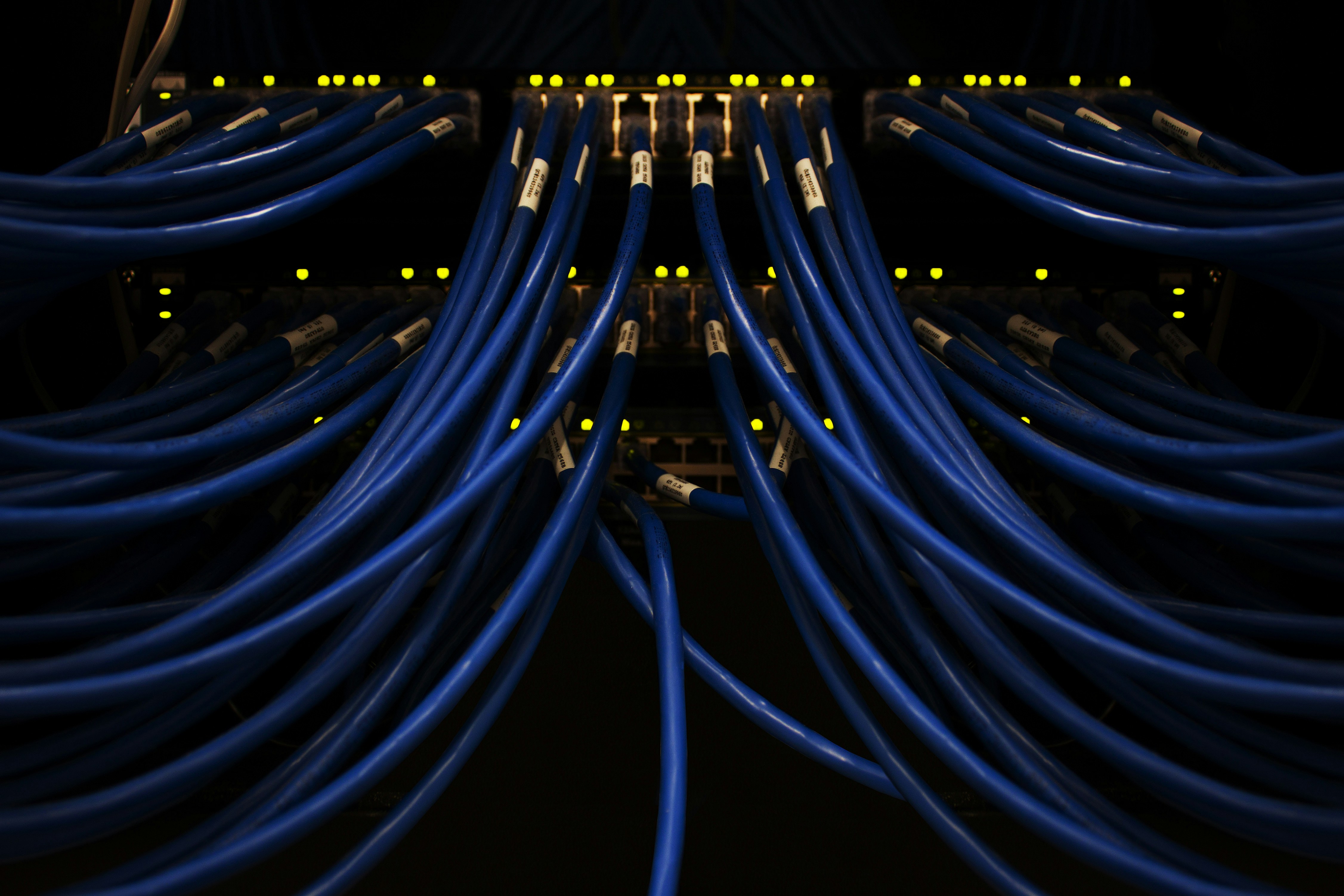 Portfolio image 5